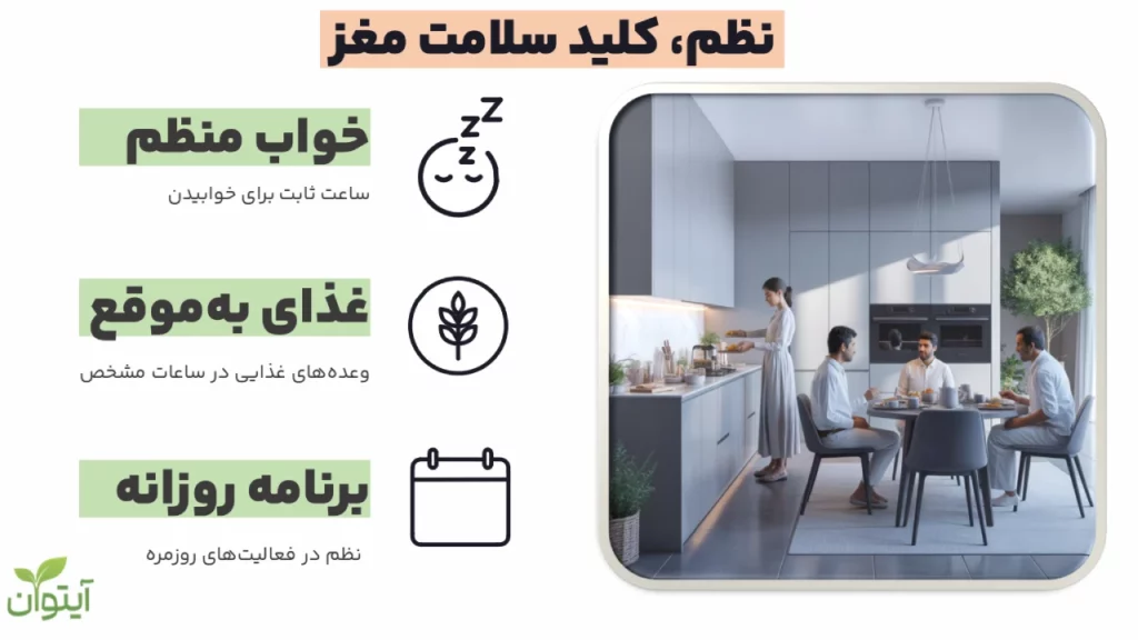 نظم کلید سلامت مغز