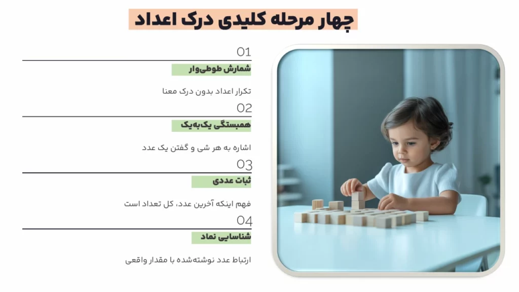 مراحل درک اعداد