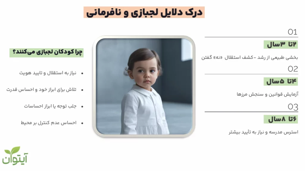 درک دلایل لجبازی و نافرمانی